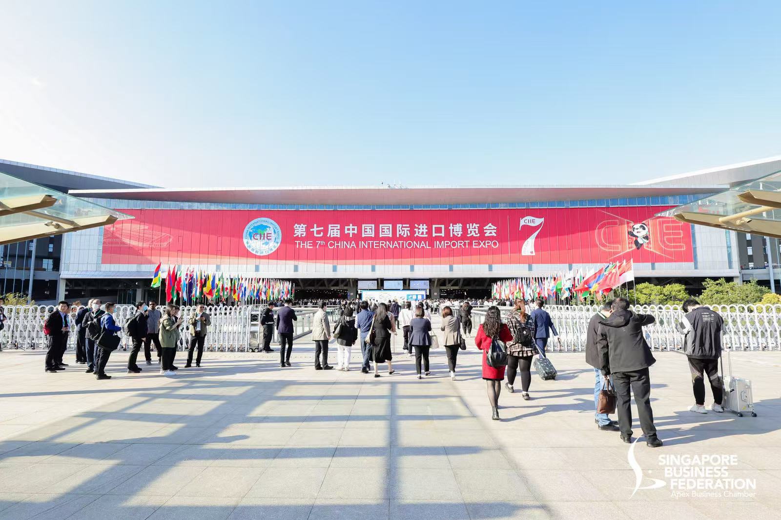 福善德金(jīn)山(shān)紅(hóng)：跨越千裡(lǐ)的(de)茶香，亮(liàng)相(xiàng)2024上(shàng)海(hǎi)進博會(huì)