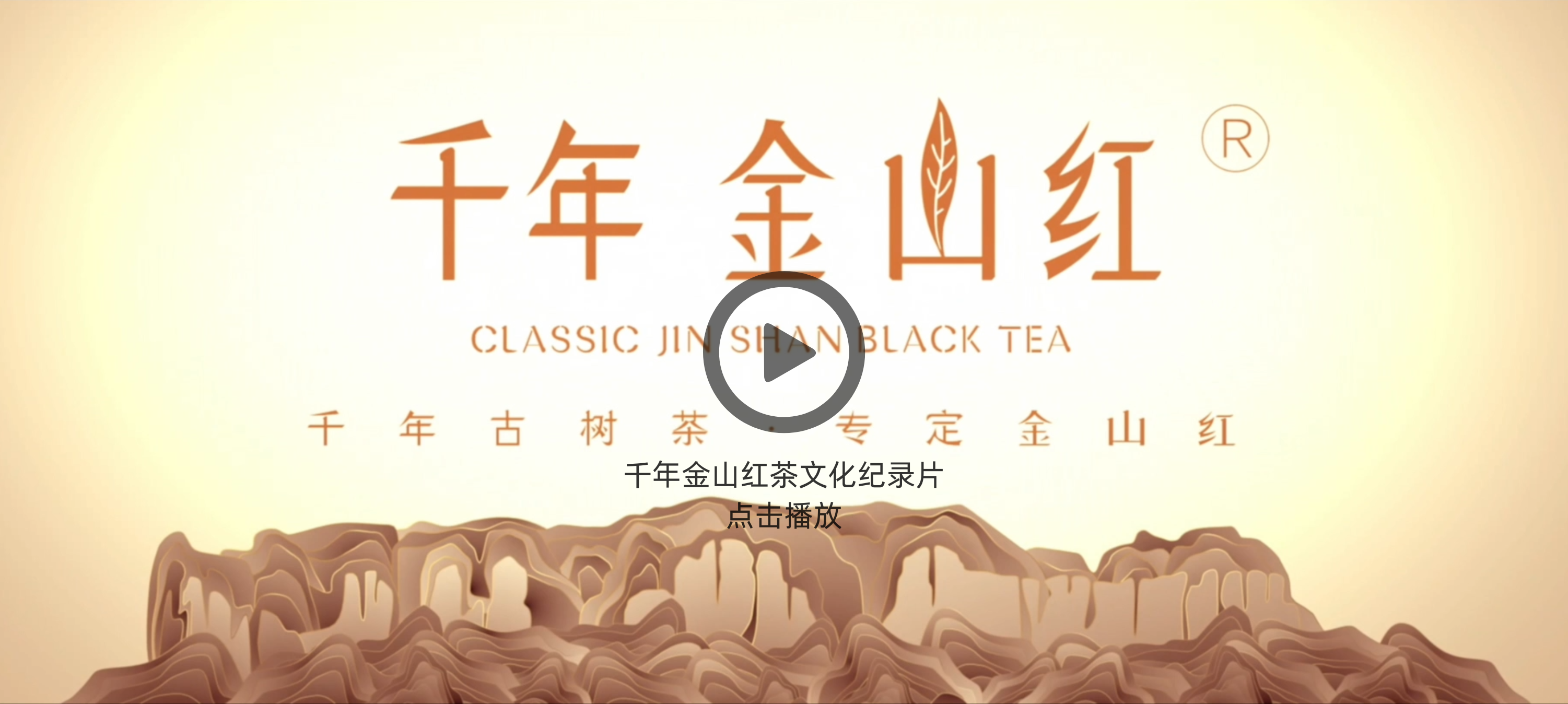 千年(nián)古樹(shù)茶   專定金(jīn)山(shān)紅(hóng)